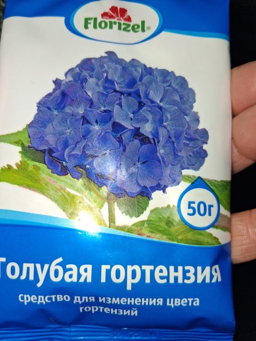 Голубая гортензия. Для изменения цвета крупнолистной гортензии.