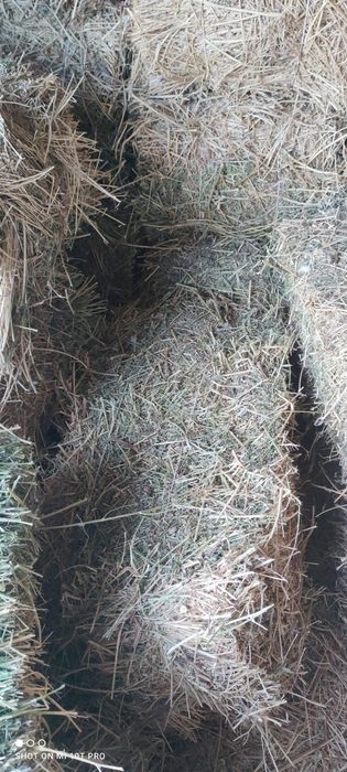 Сено, люцерно, тюк шоп