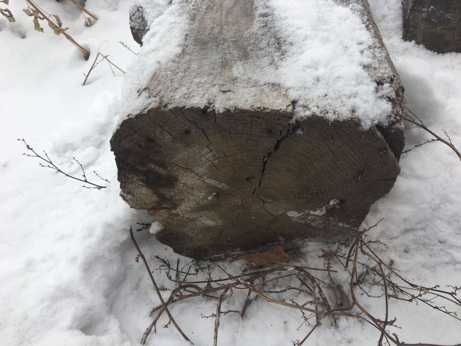 Продам бревна