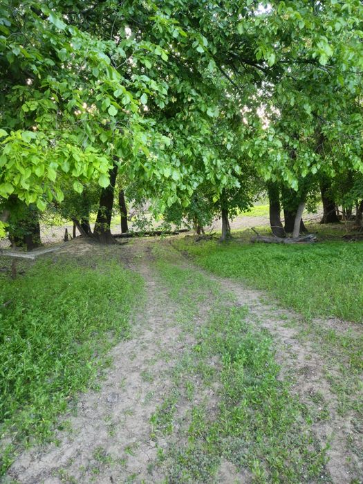 КХ ЛПХ участок срочно
