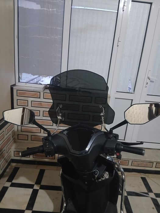 Yangi suter pul kerakligidan sotiliyapti balonlari hali mõylavchalari