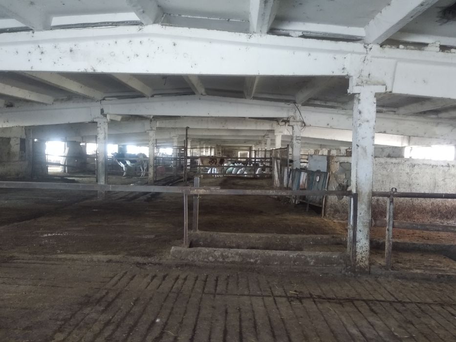 Молхона сотилади