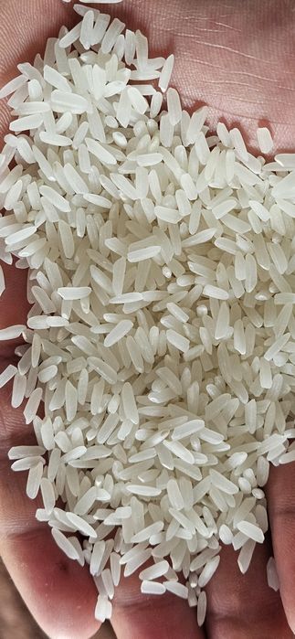 Рис  Күріш лазер оптом и розницу