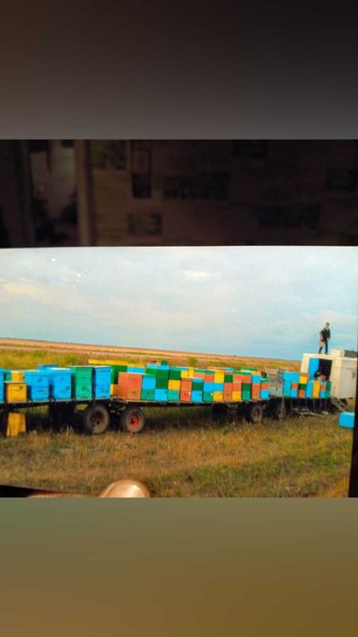 Продажа натурального мёда