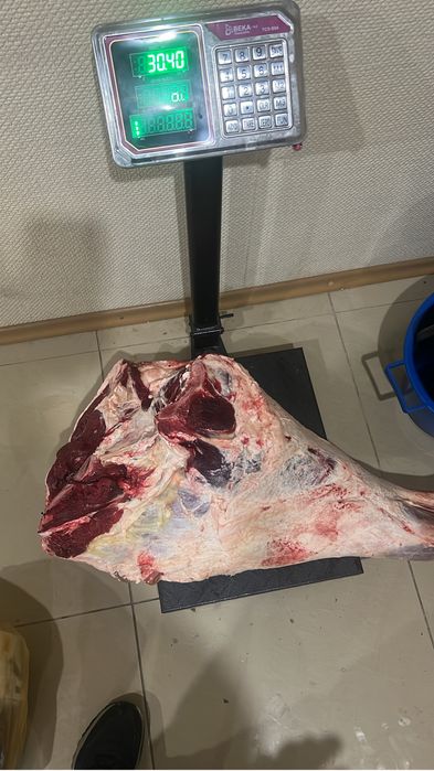 Продам мясо говядины тушами