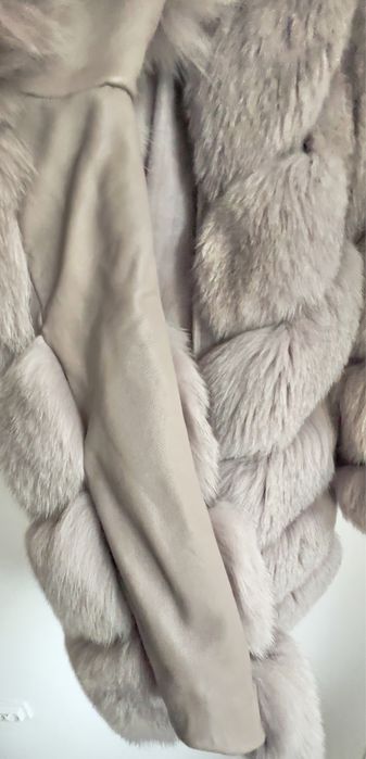 Haina de vulpe polara