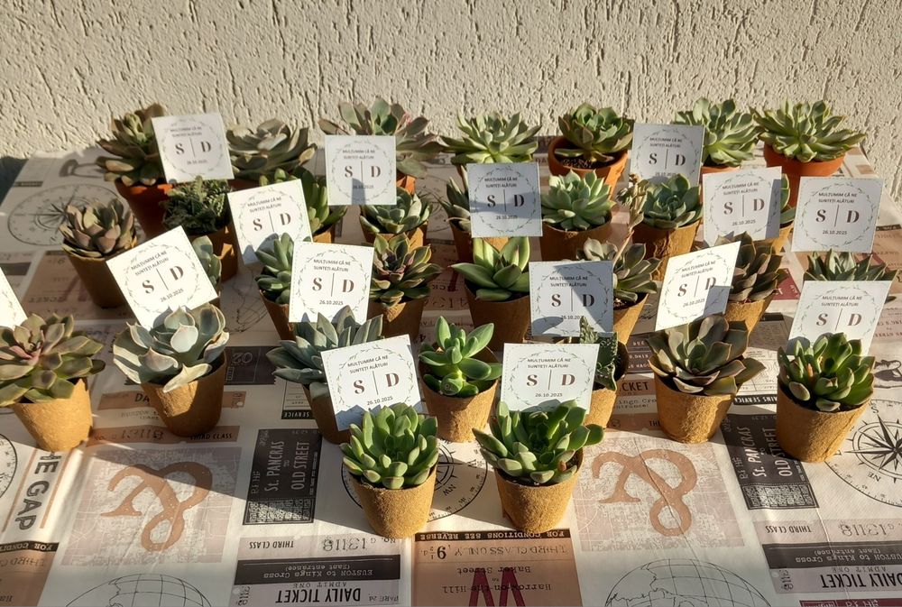 Mărturii plante suculente