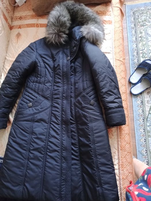 Пихора синего цвета