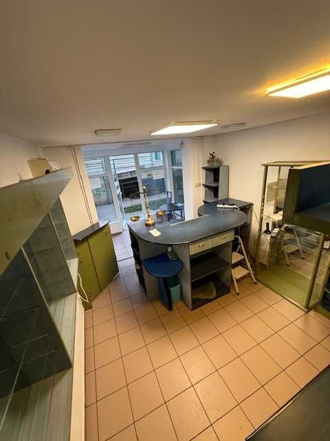 Spatiu comercial Podu ros/Nicolina
