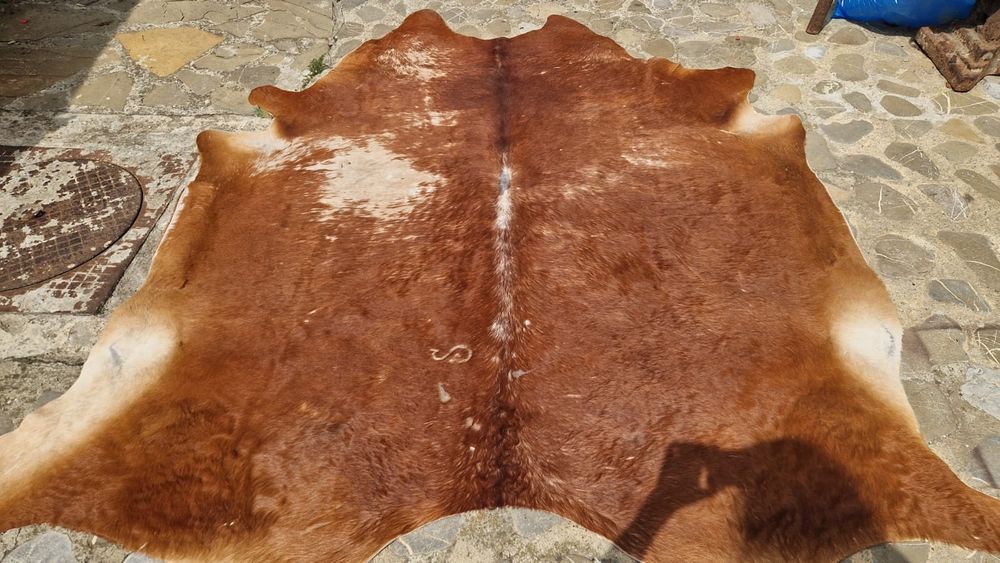 Piele bovina colectie