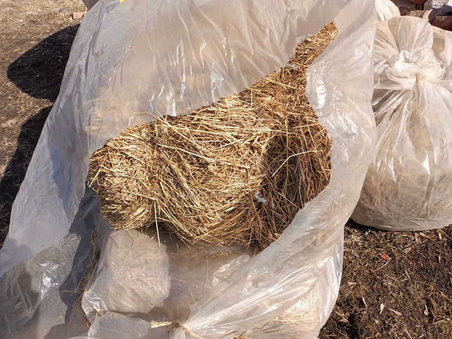Сено в тюках , брикетах