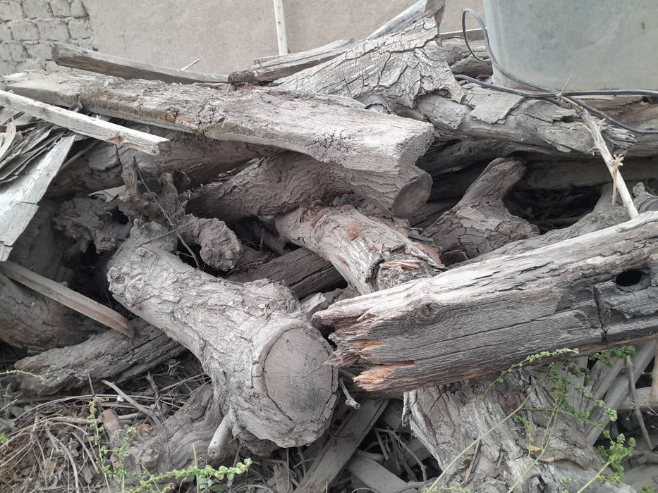 Срочно утин сотилади 2 зил