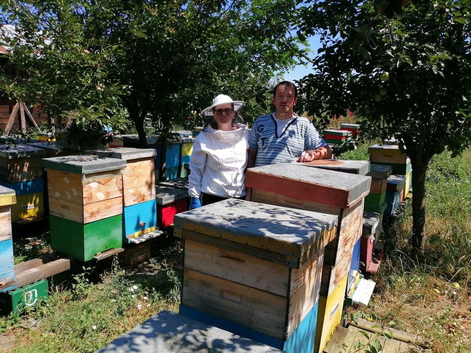 Capaceala cu miere. Livram sambata in Bucuresti.