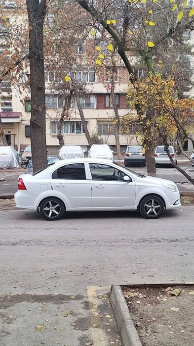 Yevro variantNexia 3