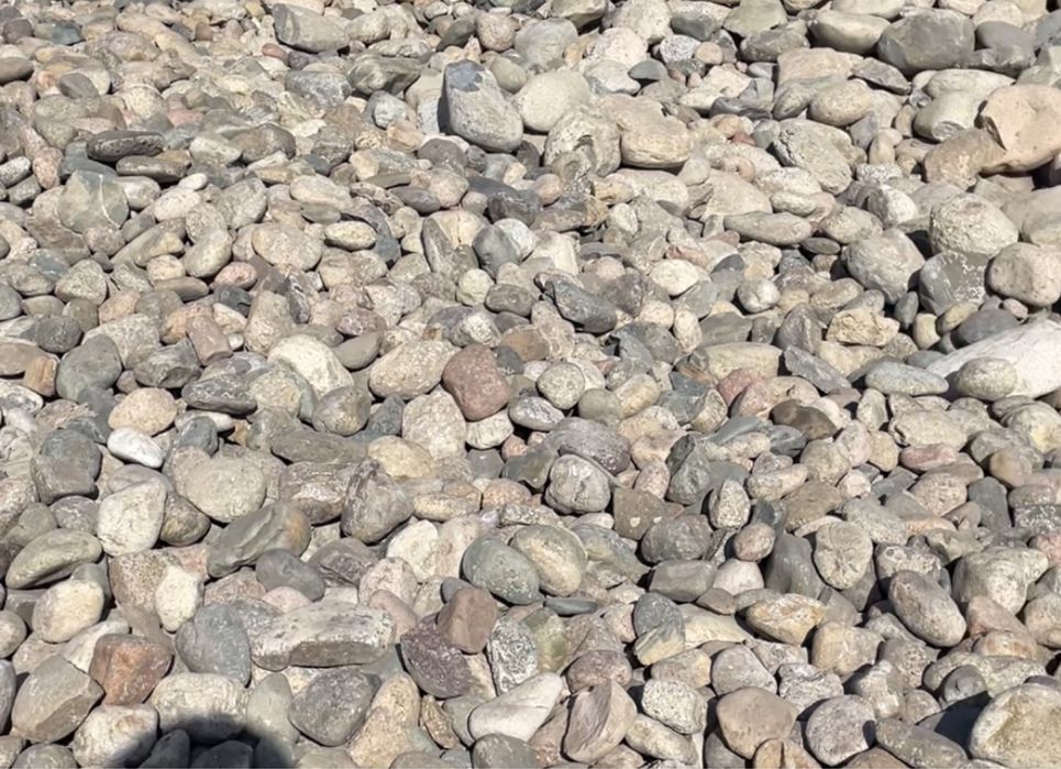 Речная галька блужник