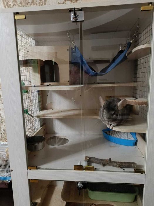 Домашняя витрина для домашнего питомца