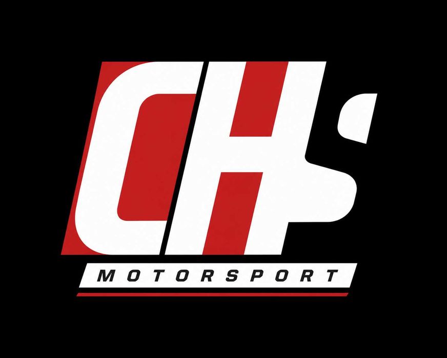 Diagnoza auto - citire, stergere martori, verificare parametri live