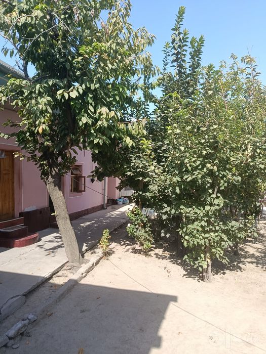 Мирза улугбек тумани, кизил сув кучаси   31уй . Нархи: 185.000$ .