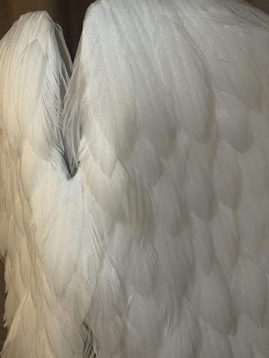 Светещи ангелски крила за носене