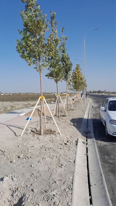 Опора для растений и деревьев( дарахтларга козик ва тиргаклар)