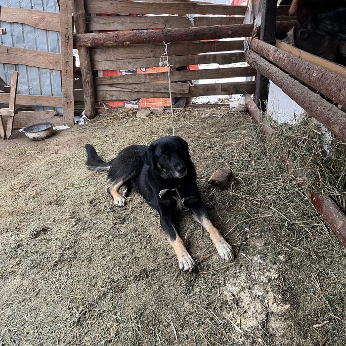 Осы тобет сатылады