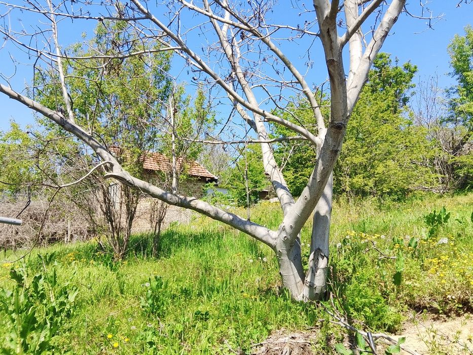 Продава се Парцел в Варна, Операта - 300 кв.м за 84 €/кв.м - Снимка #2