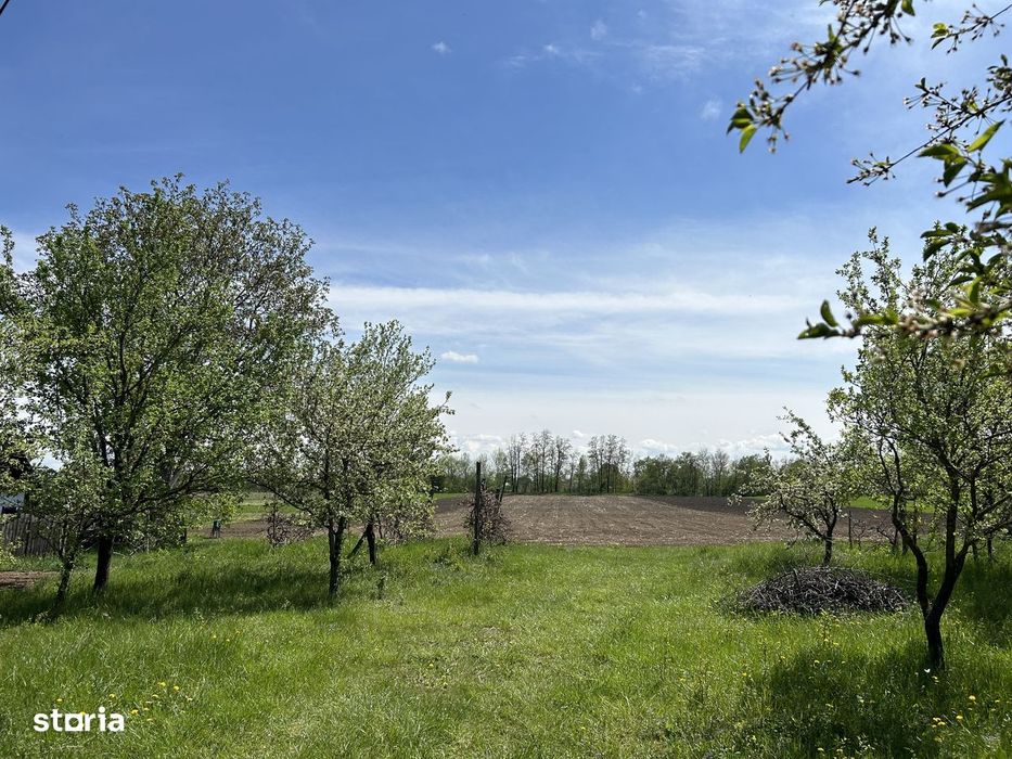 Teren intravilan 7100 mp, langa Tg Neamt, acces asfaltat, cu utilități