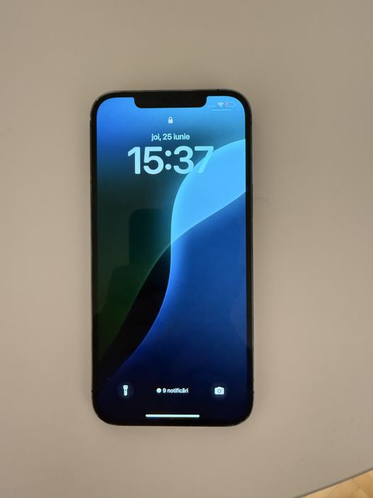 Iphone 12 pro max 256 gb