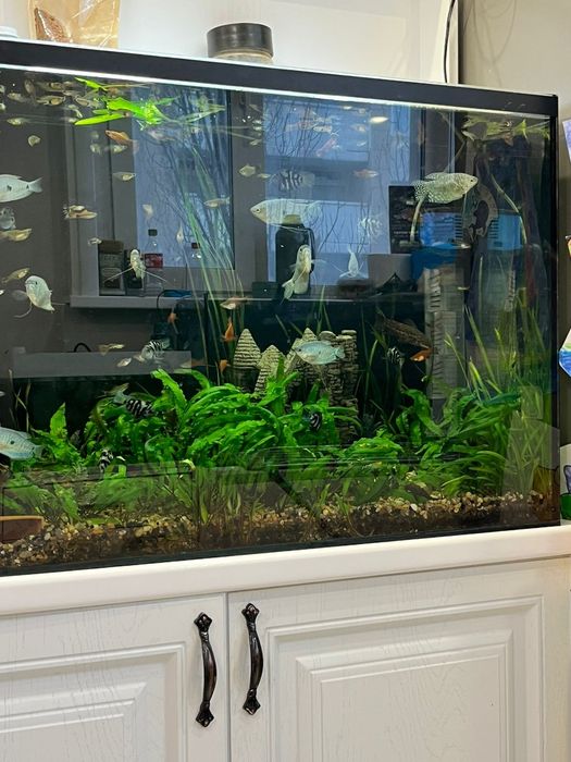 Продаю аквариум 160 литров