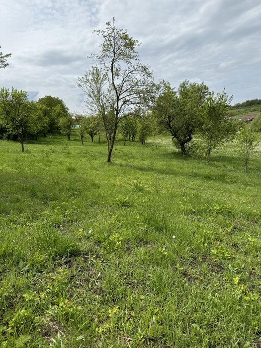 Vand teren intravilan la str. Principala nr. 81 3484 mp, front 19 m sat Corusu, comuna Baciu.