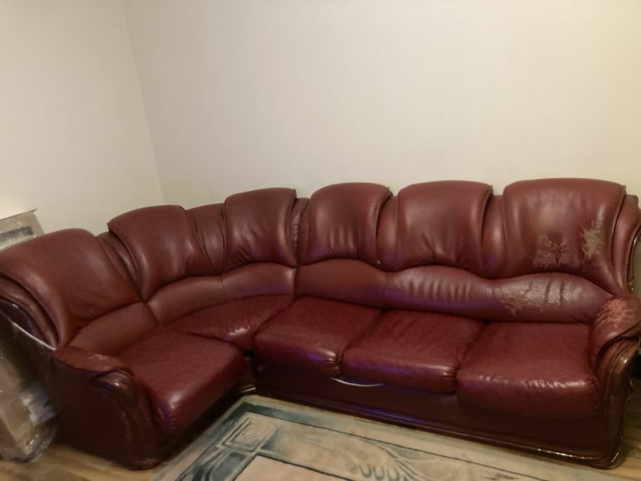 Холов ъгъл естествена кожа