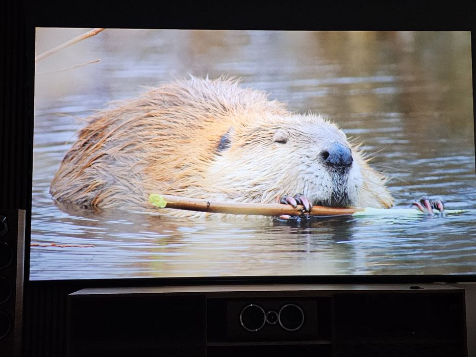 EPSON TW9400 (ca nou)