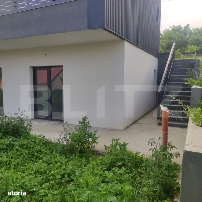 Apartament tip spatiu comercial cu terasa, 64 mp – zona Hlincea — fotografia 3