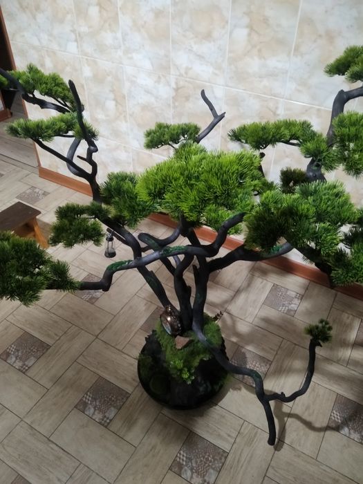 Бонсай ручная работа
