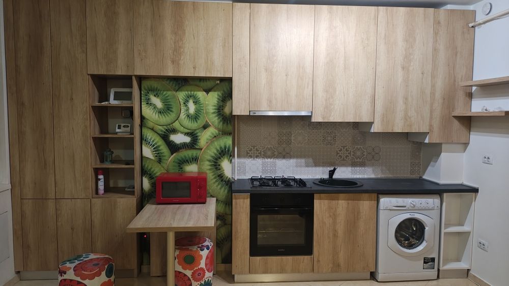 Apartament 1 camera Visoianu