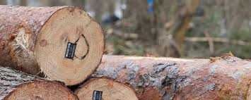 Ciocan forestier Signumat 3K aplicare Placute de MARCARE