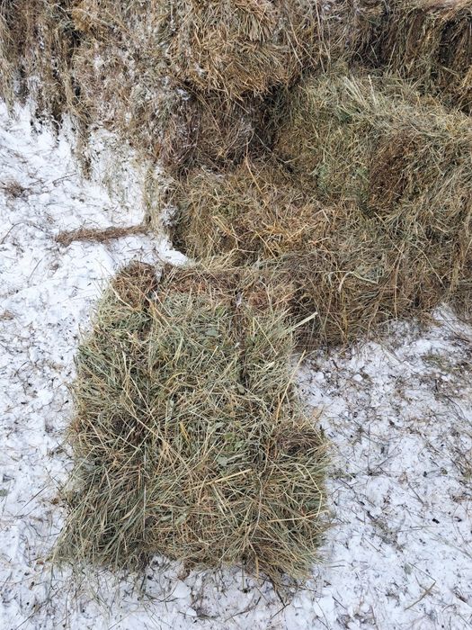 Продам сено в тюках