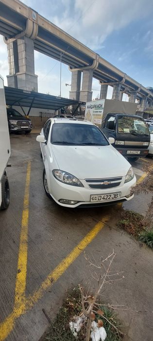 Жентра. 3 поз. 2020