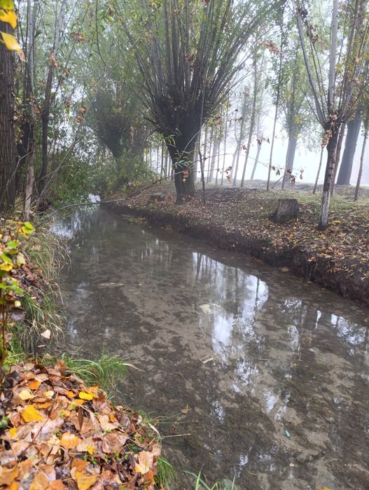 Сотилади Турар жой 20 сотик