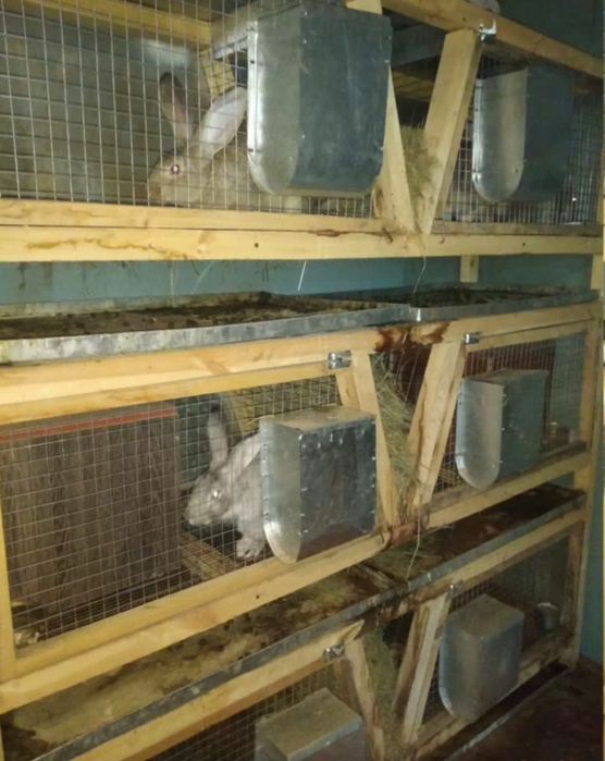 Бункерные кормушки для кроликов и птицы