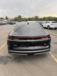 BYD Han 2ta motor pod zakaz