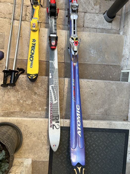 Schiuri adulti si copii