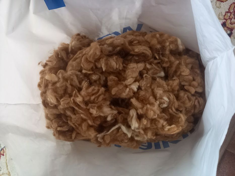 Бір пакет түйе жүні