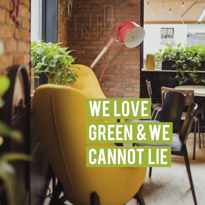 Caramida feliata /aparenta (doar margini rustice)