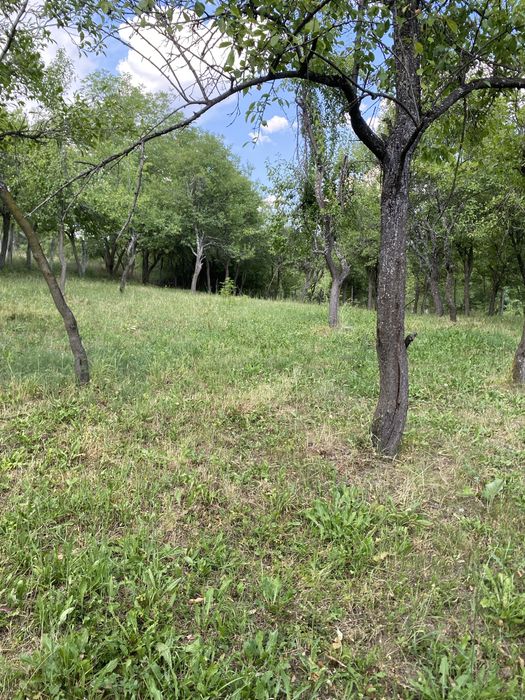 Vand Casă Batranească