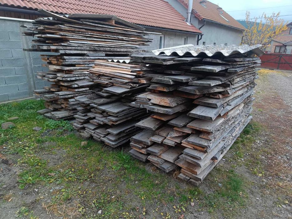 Cherestea Gorun (S, L)