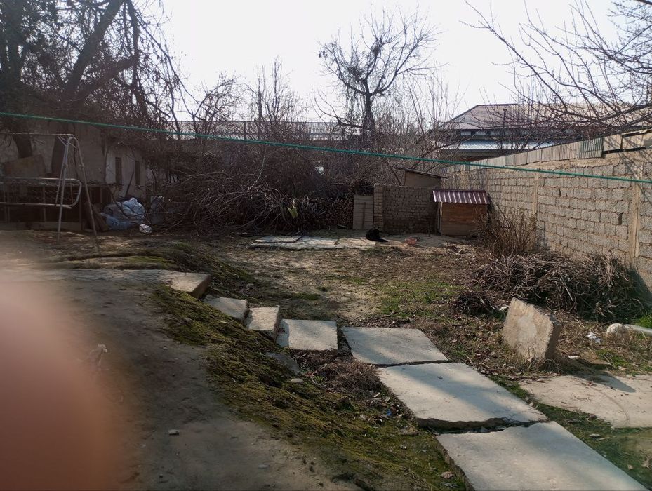 Tashkent shahar Yunsobot tumani shiribom mostidan tushkanda