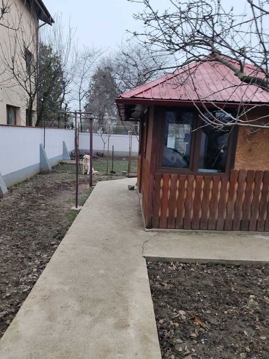 Casă cu teren și 4 camere – confort și intimitate - Popesti-Leordeni