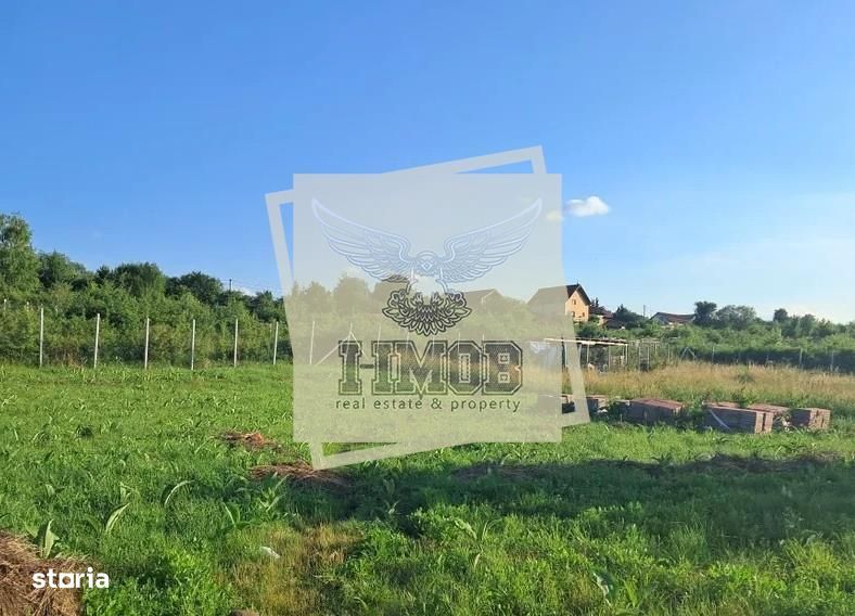 Teren intravilan Daia Noua 500 mp