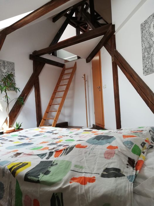 Închiriez apartament  4 camere 3 dormitoare, Pet Friendly, strada Bul Victor Babeș
